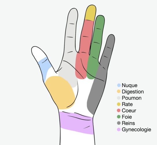 Carte de Diagnostic Palmaire selon le courant Tung